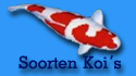 Soorten koi's