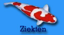 Diverse Koi ziekten